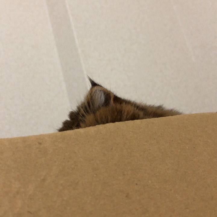 E68a7bcd 11b4 46dd 95bb 5553d6976605 1536822046154