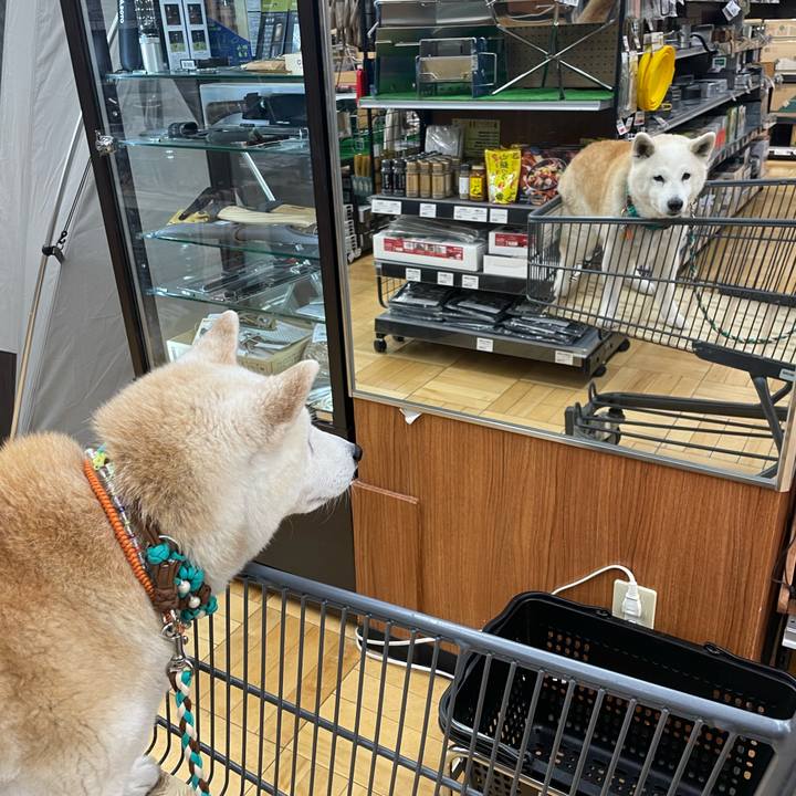 E68a88fb 716e 4a5b 870e 4d8fdc61316d 1684127480627