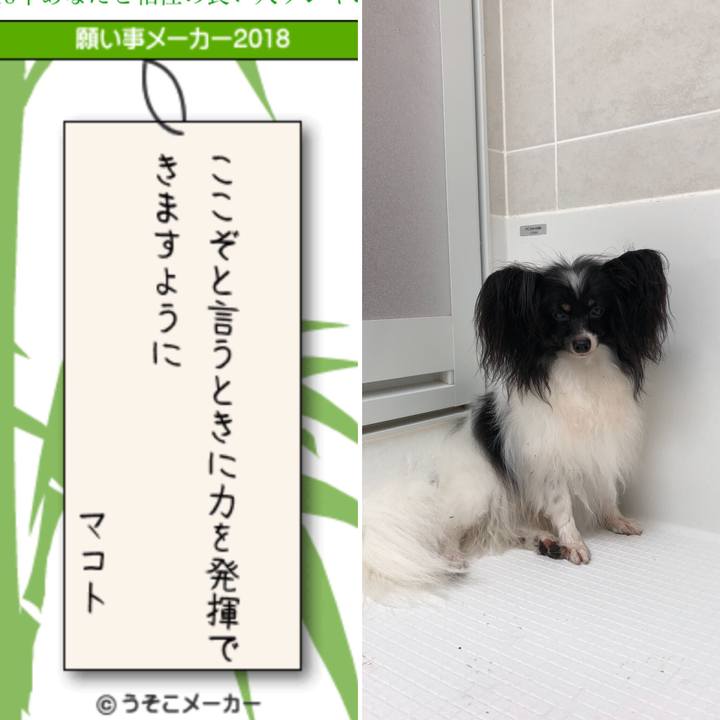 E68acc42 82e6 444e 96d8 65a92937f49f 1530937801984