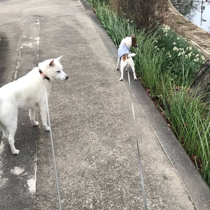 E68adf13 3ba5 4ed8 afda e7f29f1ce646 1517100610493