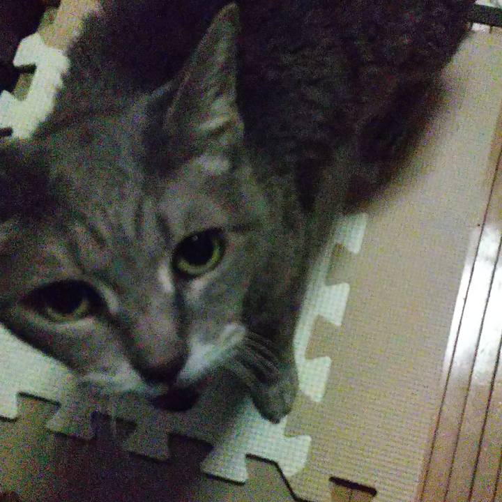 E68b15ca d9ea 4e5d 88b0 bc66a98dde17 1695202834016