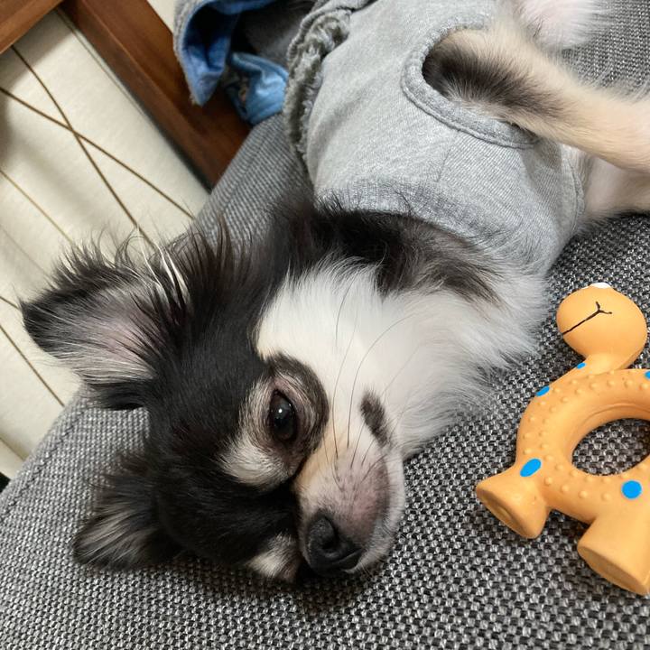 E68b4331 6f2c 4aff a93f 2514aa687833 1640958867244