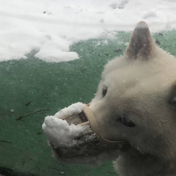 E68b4c07 f3aa 47ab 974e 7fa3fa912a09 1553298616344