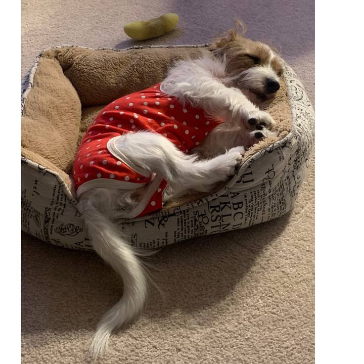 E68b5163 363a 45dc 8f40 ee72a0ac981f 1759671907367