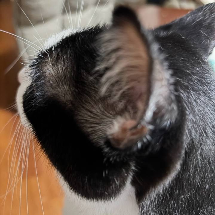 E68b74c3 5972 48c0 8c26 092e0c7a4ba5 1759568922670