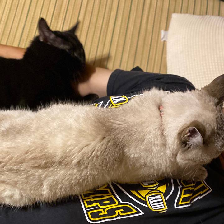 E68b8ab8 890e 4d2d 84dd 9ce31602ec63 1599564757516