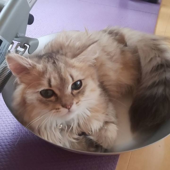 E68bb05e ae2d 4c2c b163 515bdc40e02f 1561621829411