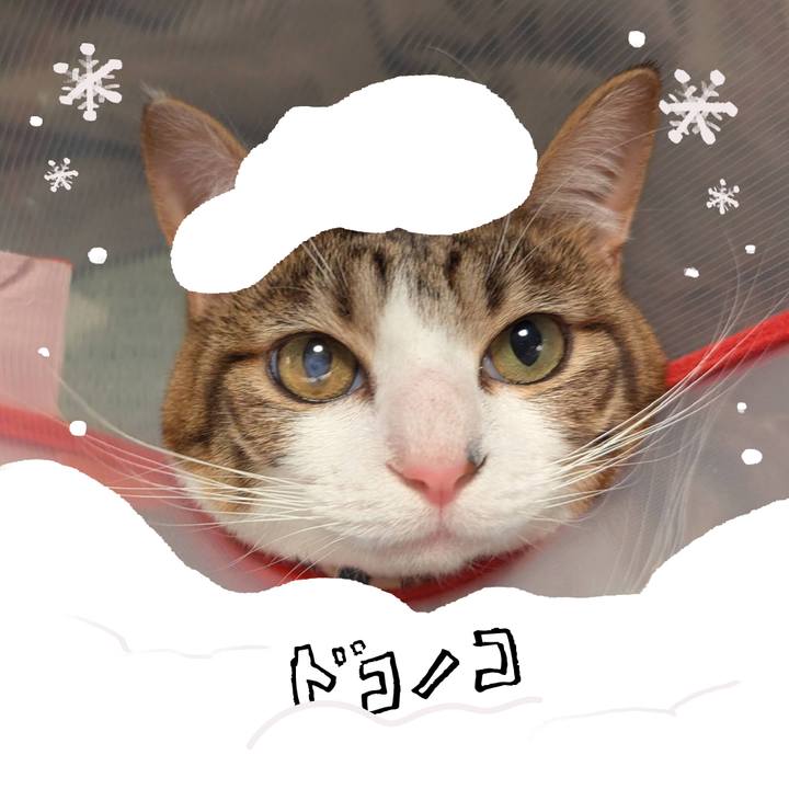 E68bd83c 9e50 4b0d af2a 456079c919a9 1771895555053