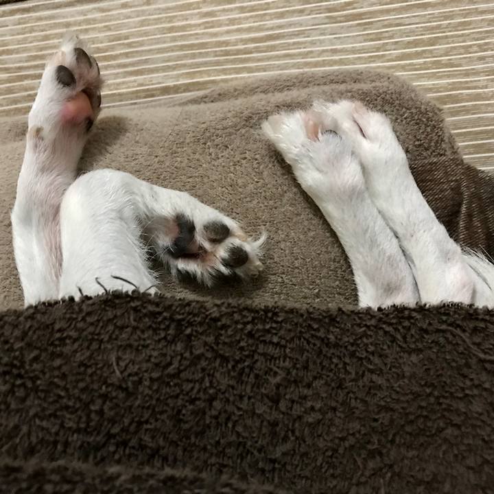 E68bdfc3 9d05 4d5d 8700 a5e4121f79cf 1630739113096