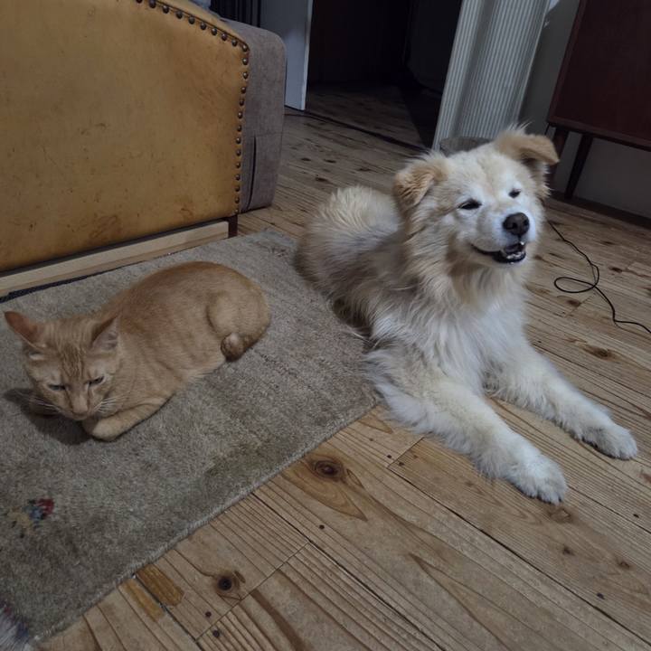 E68c0967 3d9e 41f1 a7ba 4b2f775200e9 1756218130052