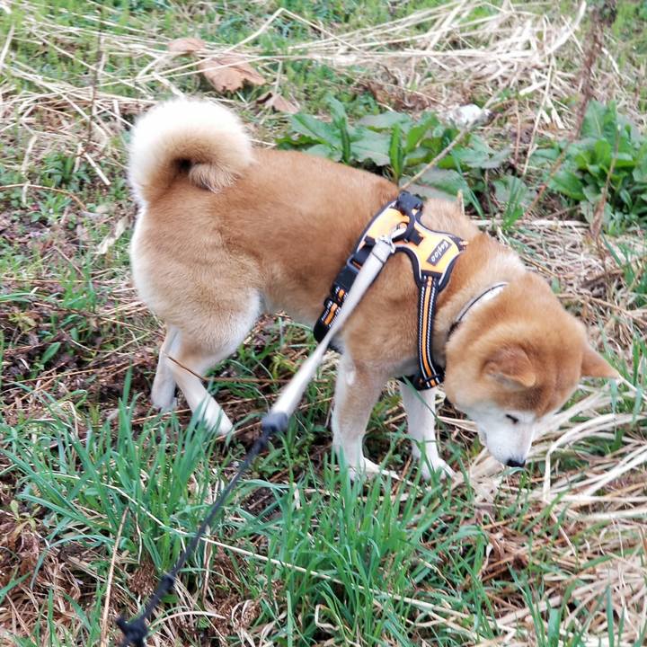 E68c395b e159 4b1a b352 d377a6311f7f 1618379195351