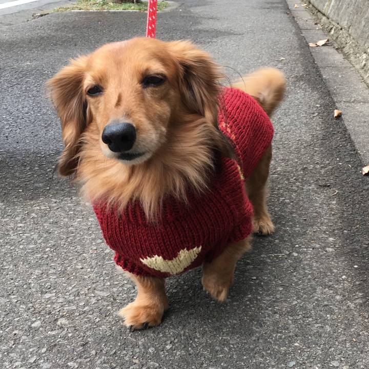 E68c9a8a cfd1 4109 8bca e51b37311aca 1518331170116