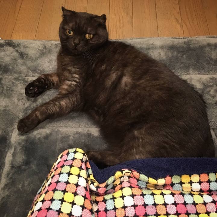 E68ca76e 6e8f 42f2 a4b8 5817c45292d9 1544116553555