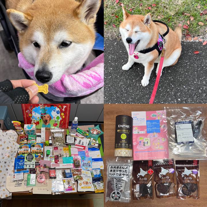 E68cb701 9df7 4931 9227 c0b43ec86c48 1680267056362