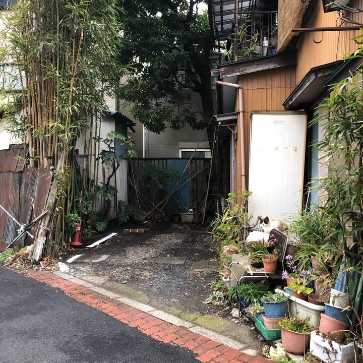 E68d5ca4 4d39 4533 8645 c675480c4831 1645975878569