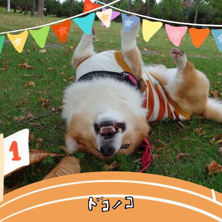 E68d6b0e f5b2 4ccf 879f cb7638d2e09f 1761356846808