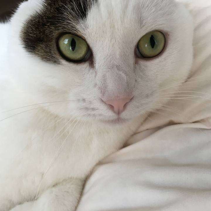 E68d7a6c ff37 4caf ba09 b5597cd25658 1521340997410