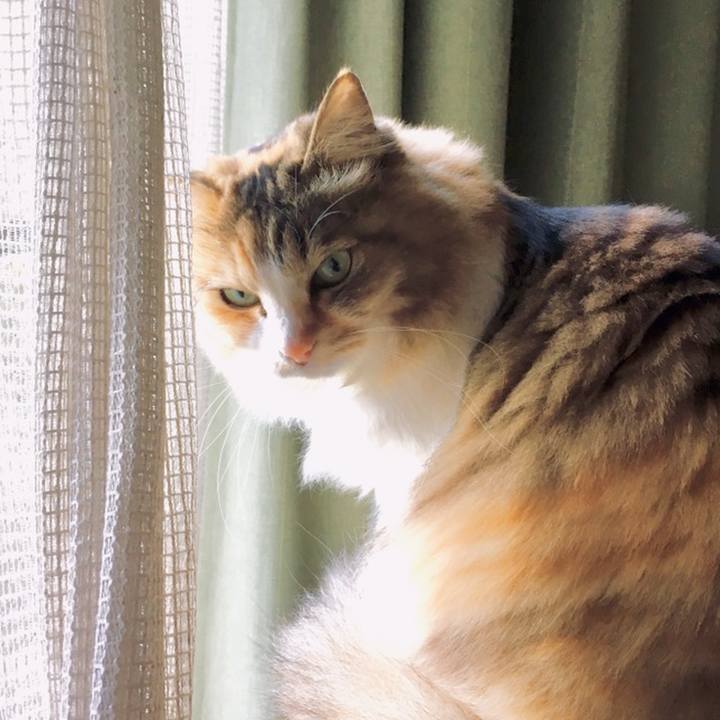 E68db680 a072 4b4c 98e3 cd945131470a 1559185120942