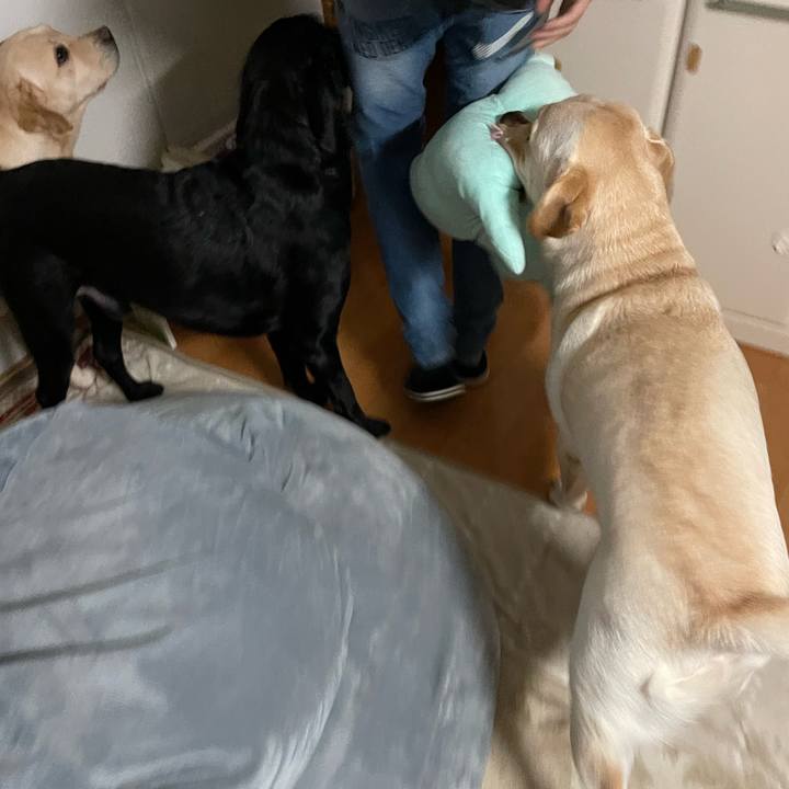 E68ddb22 7751 4826 8282 12882d607675 1641508410973