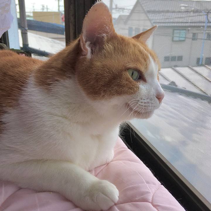 E68de23f 4870 47d6 b196 8f9223eed05c 1588143464297