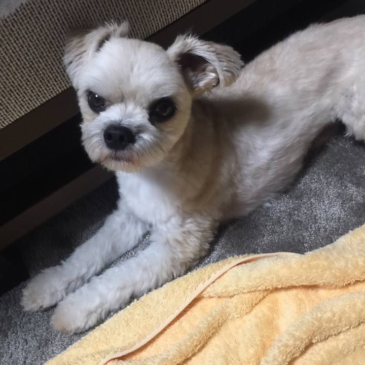 E68de3dc 9110 49b8 ba9f 1a3b28497145 1529840131294