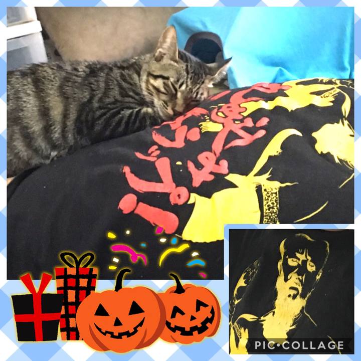 E68de70c 5903 4cb4 9299 a30446acc64b 1540786214657