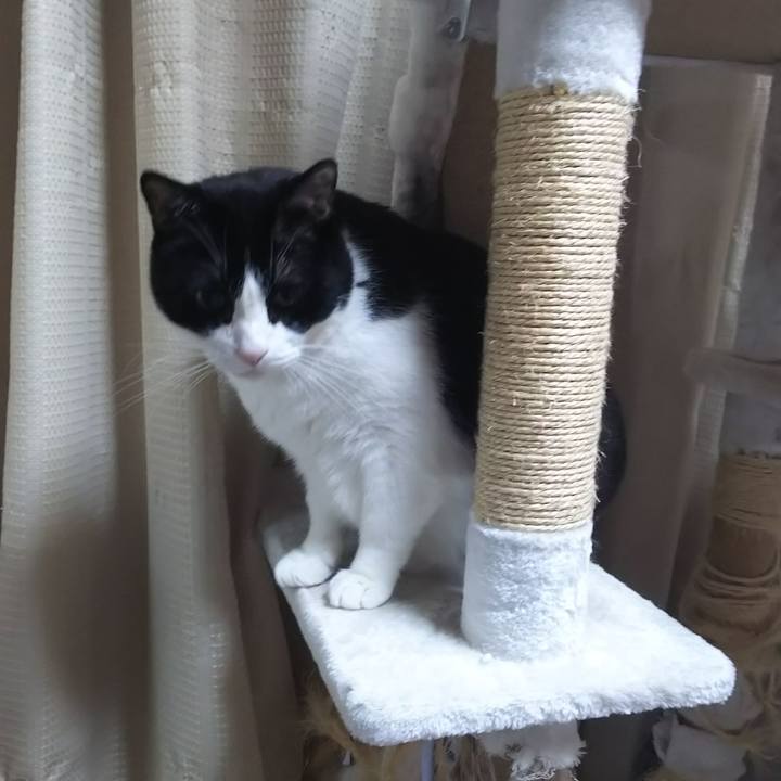 E68de9db 4a12 424e aea1 16bbf6ff29d2 1592947951244