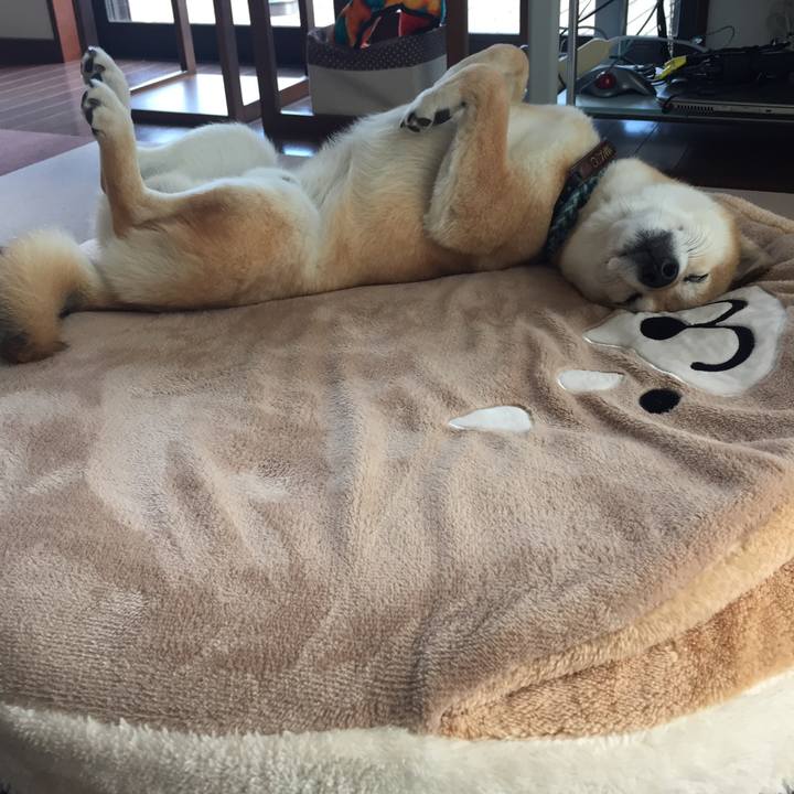 E68e76ad bb64 4685 997d e21ca98abb04 1511311385371