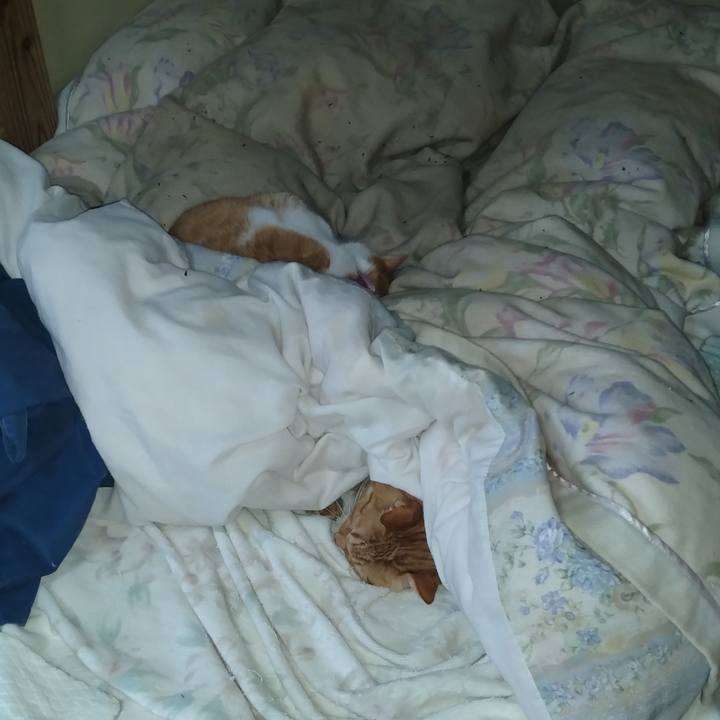 E68e7f78 bae5 4ebb a35f 036bb2d07074 1763590387458