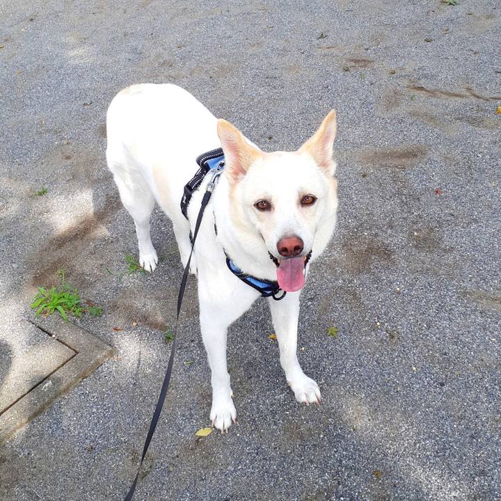 E68ea1d7 7310 41e5 9cd7 bb64fe86caa9 1626580716636