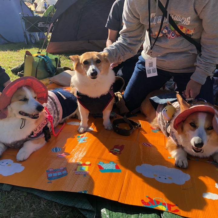 E68ea32c d15f 4a8c 8b53 bdb9221c3ea9 1730613051966