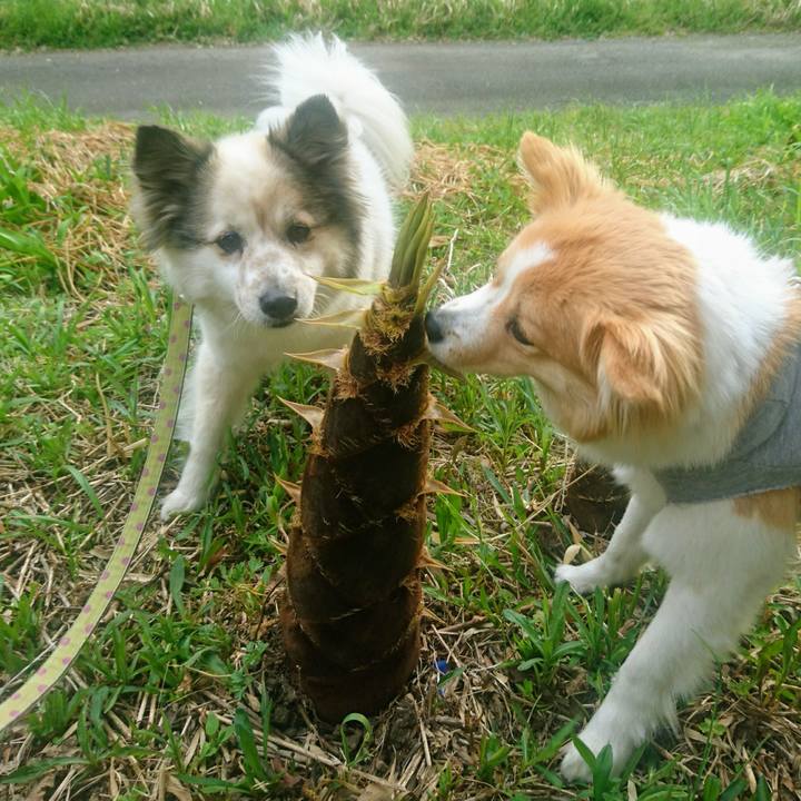 E68f1a61 6025 4652 bfe1 6e11e4bdff56 1555673293683