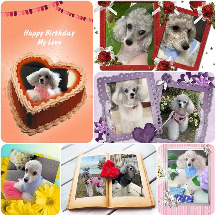 E68f7464 136d 43ff a048 c8d14ec37491 1636238872371