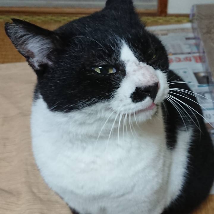 E68f7613 ff0c 4773 9380 fd527f9e6ae7 1601776007781