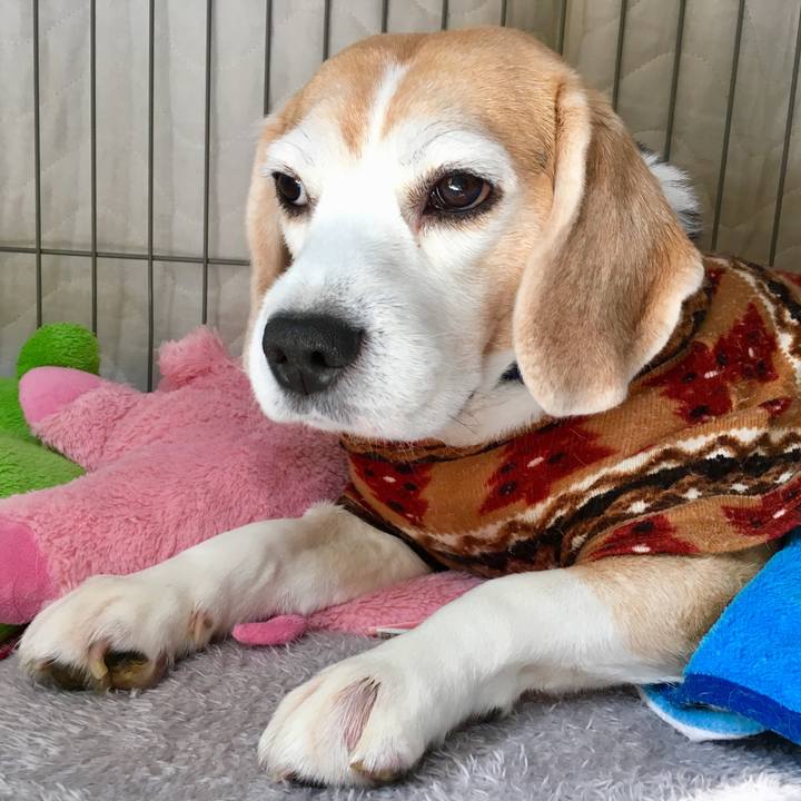 E68f7819 f895 4824 8e23 bcf6a9f6523b 1550374609098