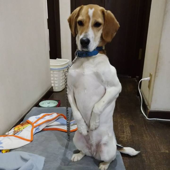 E68f8360 19c8 40c8 93ae c4908814b858 1614760277115