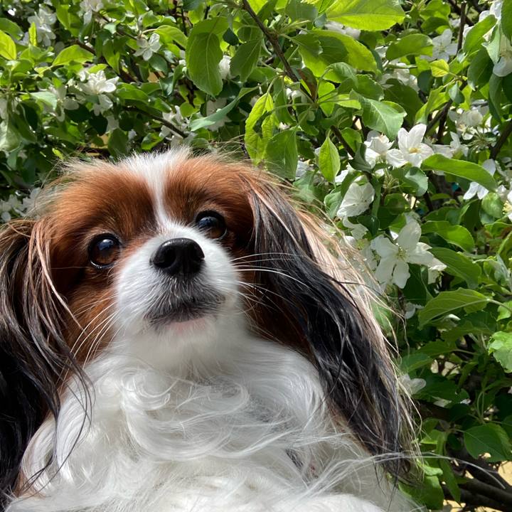 E68faa51 198c 49bf a237 4b915694ae04 1715150703698