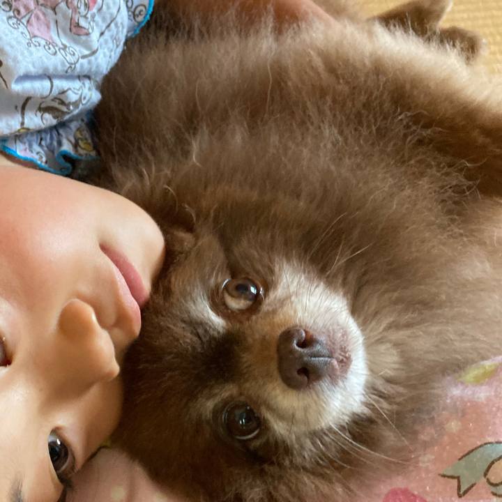 E68fc02d 371d 4ece b64e 659dd1859fdc 1660171398672