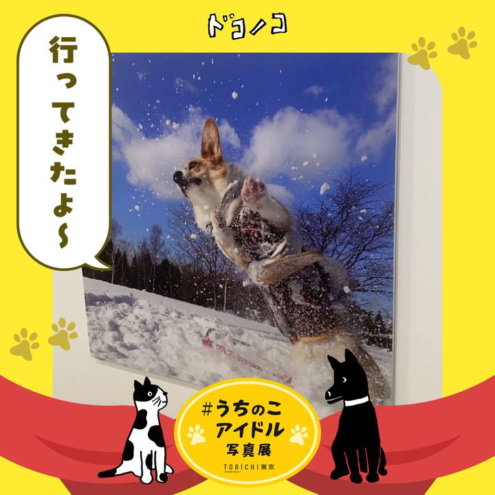 E68ffd7e 9599 43f0 9344 aebd5f0dcb6c 1762167435639