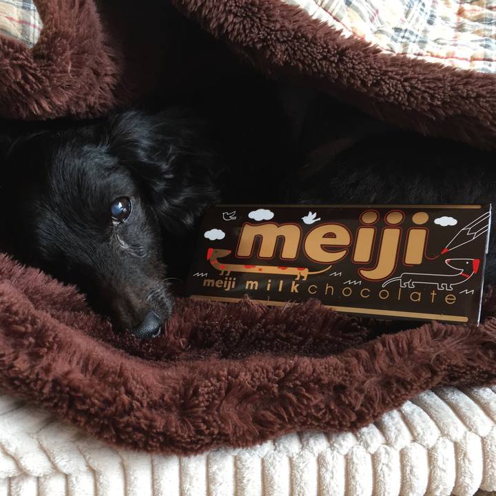 E69000b3 e302 41f9 aa36 3b0e44985d69 1549062846717