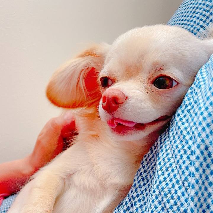 E69018e8 b42a 4245 b9c1 d760b231dc3d 1622375975026