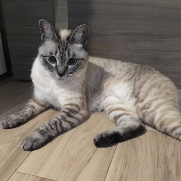 E6903614 6851 4dc9 a5f7 9d0a15875e7b 1588424306468