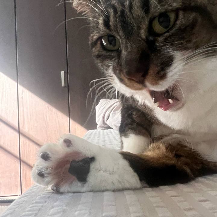 E690599c f656 429b a8d0 7bf0cb36184f 1770717179288