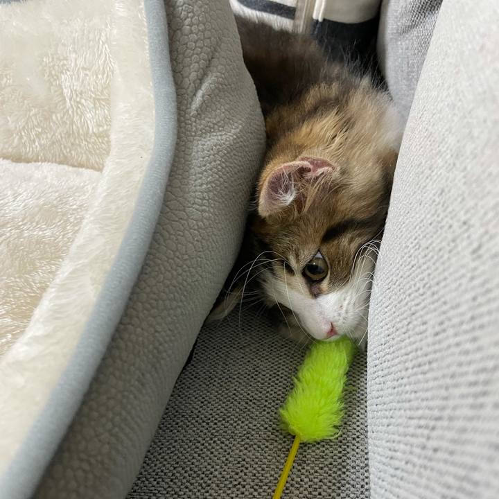 E690c740 a9ce 462e a1a2 3cdcf9fc1e07 1632732403967