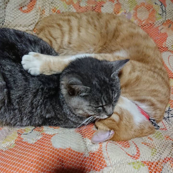 E690c9f4 885c 48c0 a3ce 9afaa354f49b 1574253877727