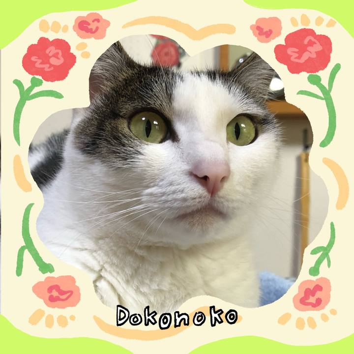 E690e681 75f5 40d3 b184 9b04a9d72d29 1715336201645