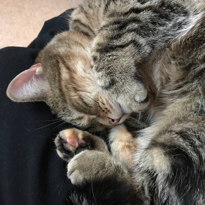 E690f4e2 dc12 451d 9553 ee7b625b6be0 1519979429146