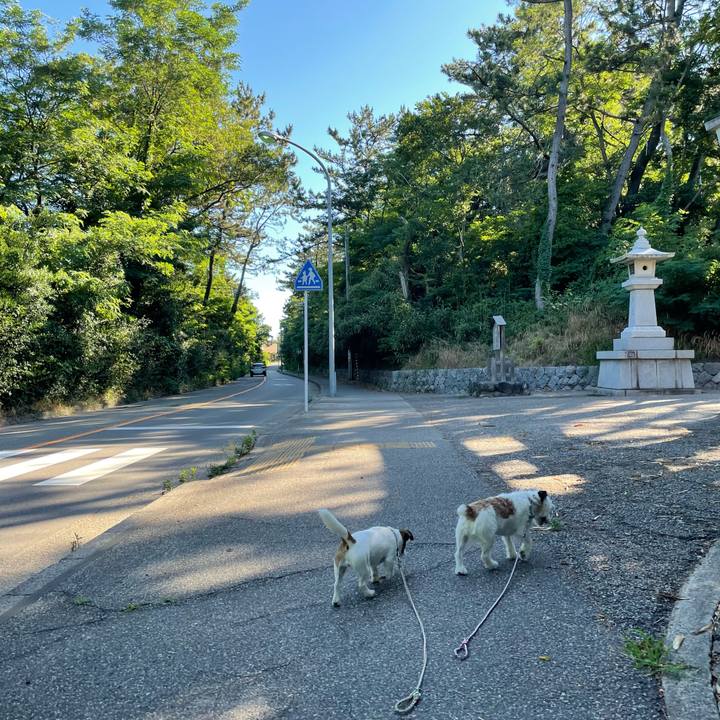 E691006a bd29 418c 8579 f42da690f430 1657242316873