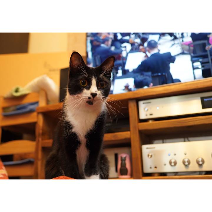 E69130fd de49 4001 affd 0f11e3ce7c18 1605450824537