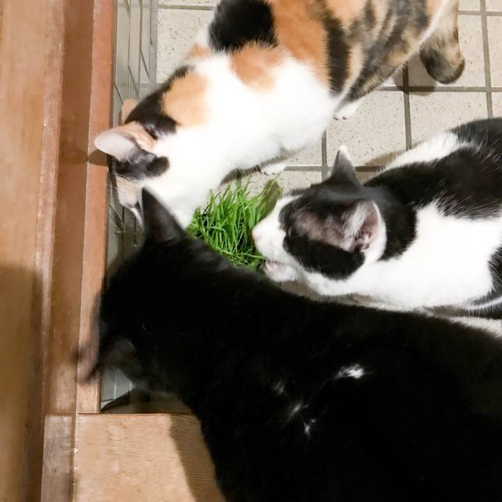 E6913238 ffd6 4913 a19b 8b4fb77ad90f 1519606286013